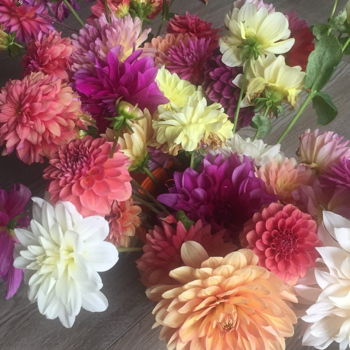 Summer Flower subscription - Orange County, CA